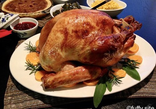Thanksgiving Dinner Roast Turkey