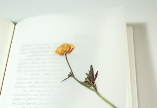 book flower