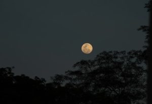 moon dark night