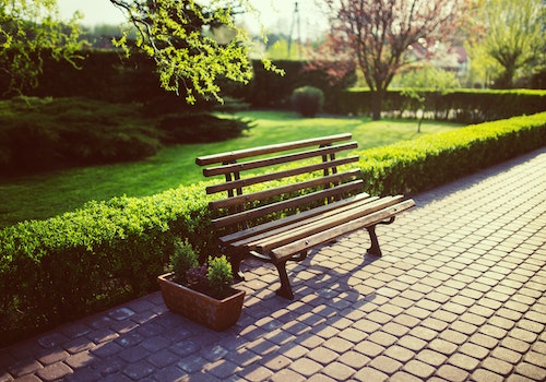bench green ベンチ