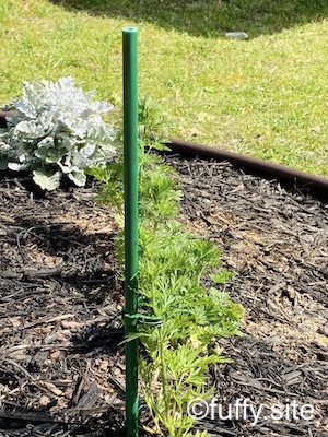 支柱 pole for plants