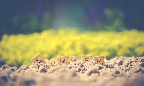 summer logo