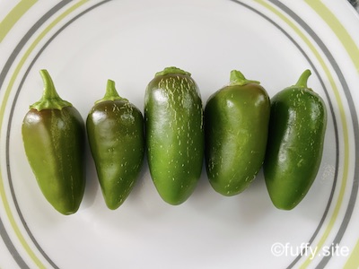 Jalapeño ハラペーニョ